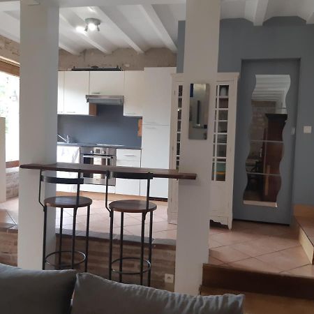 Charmant Appartement Vue Sur La Riviere. Albi Kültér fotó