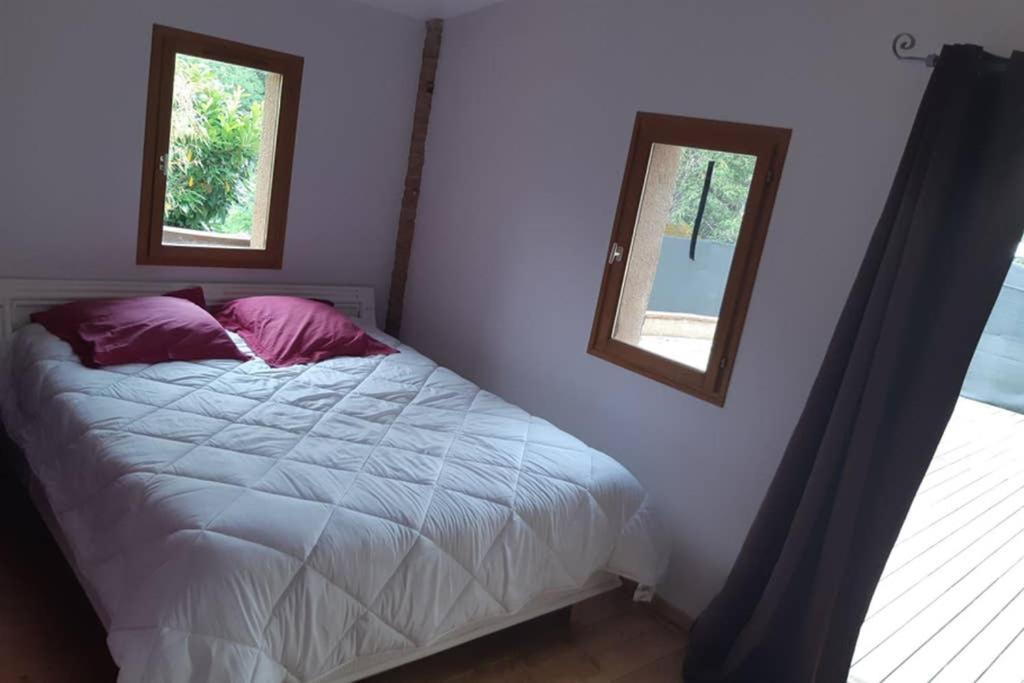 Charmant Appartement Vue Sur La Riviere. Albi Kültér fotó