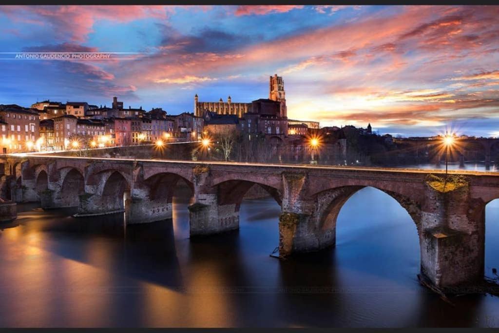 Charmant Appartement Vue Sur La Riviere. Albi Kültér fotó