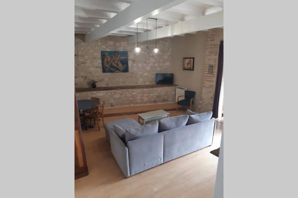 Charmant Appartement Vue Sur La Riviere. Albi Kültér fotó