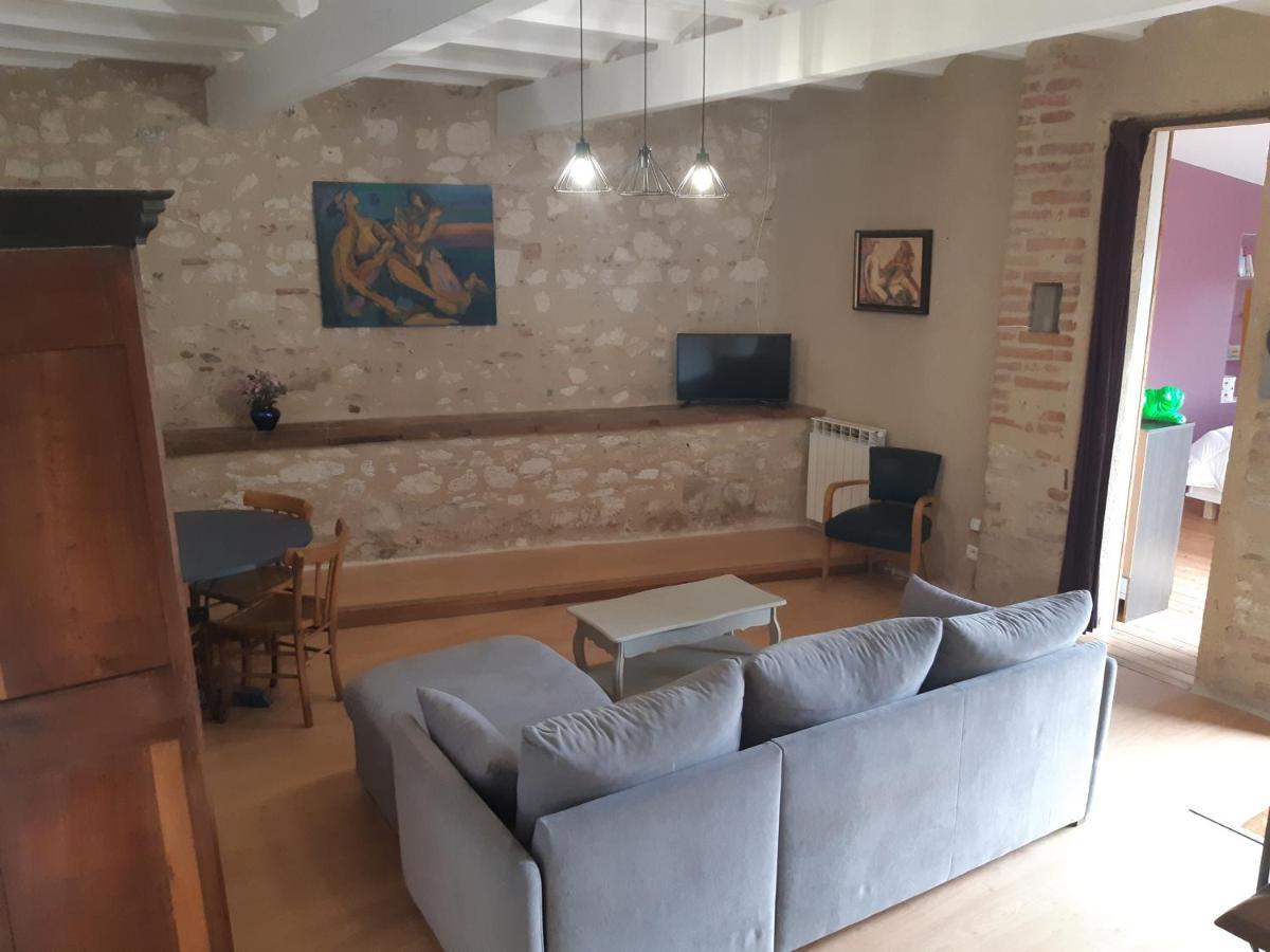 Charmant Appartement Vue Sur La Riviere. Albi Kültér fotó